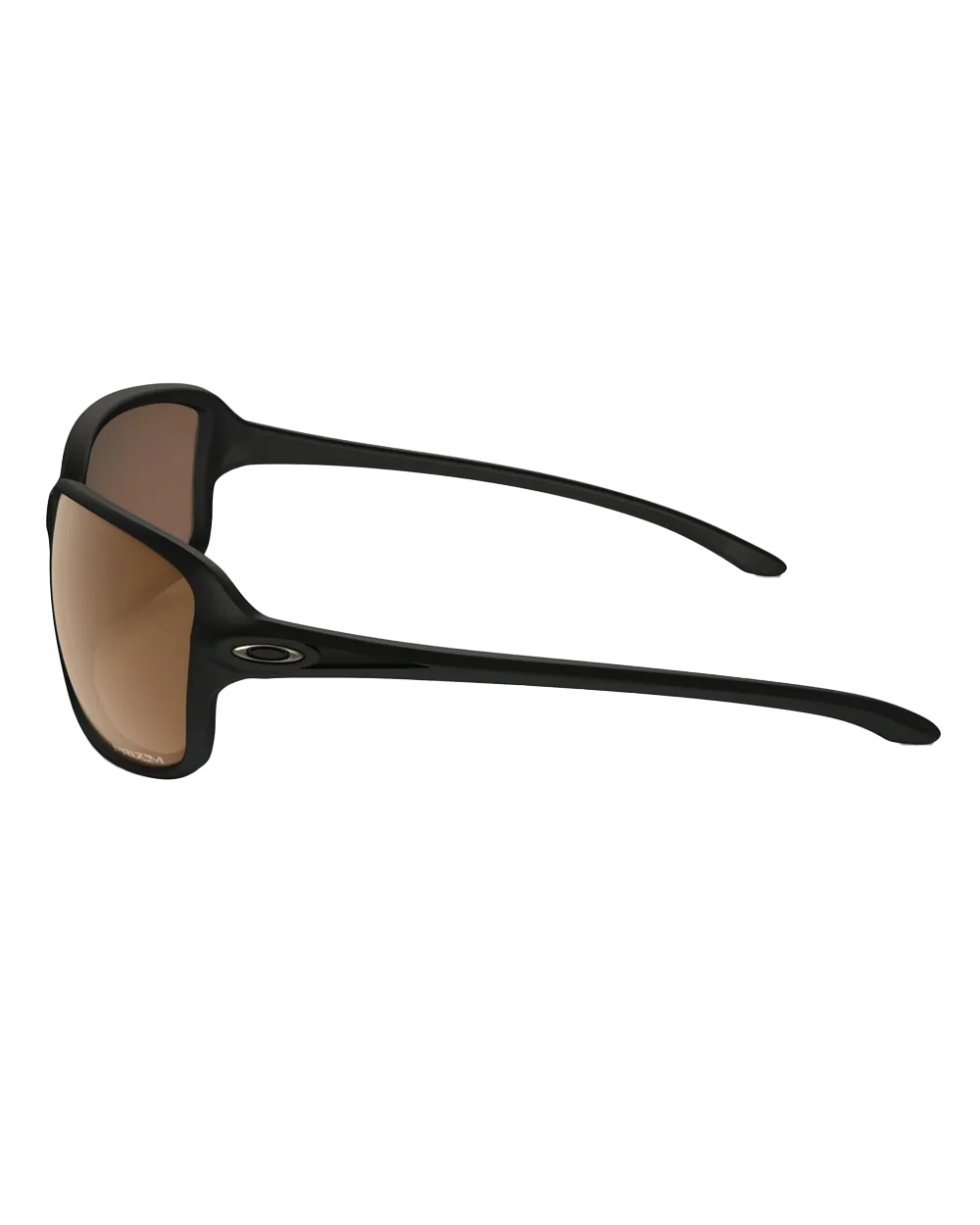 Cohort Sunglasses in Brown