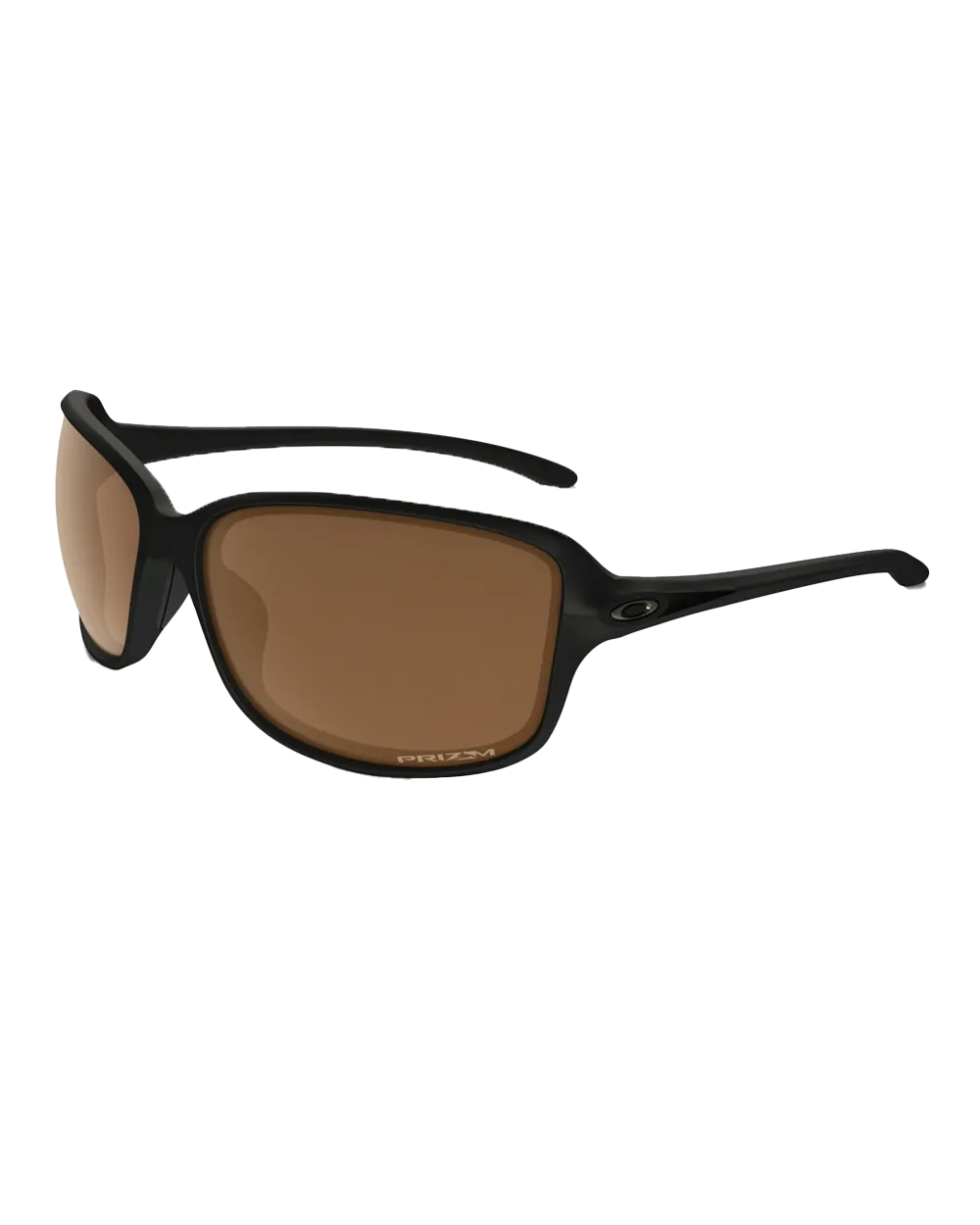 Cohort Sunglasses in Brown