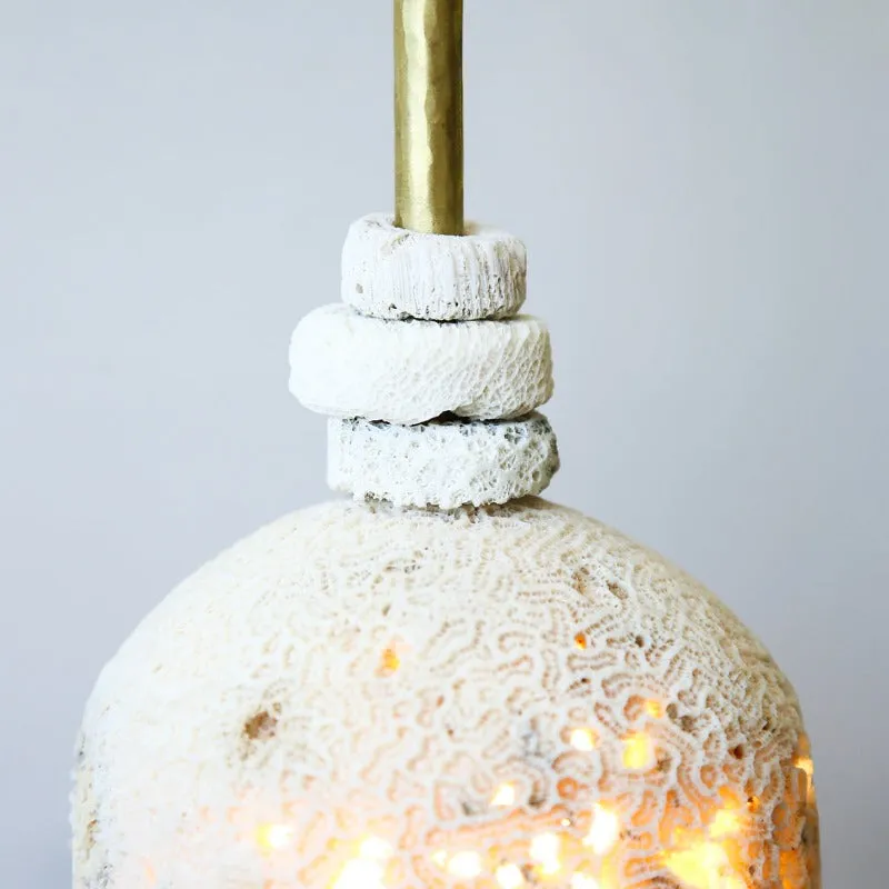 Fossil Coral Dome Hanging Pendant