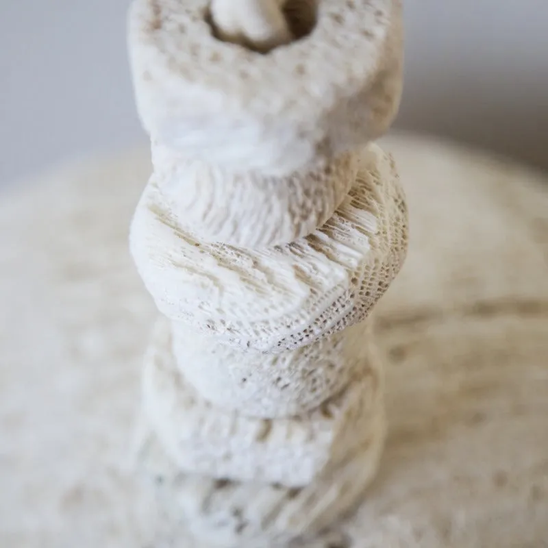 Fossil Coral Dome Hanging Pendant