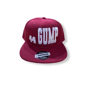 HEADGEAR: Forest Gump #44 Snapback