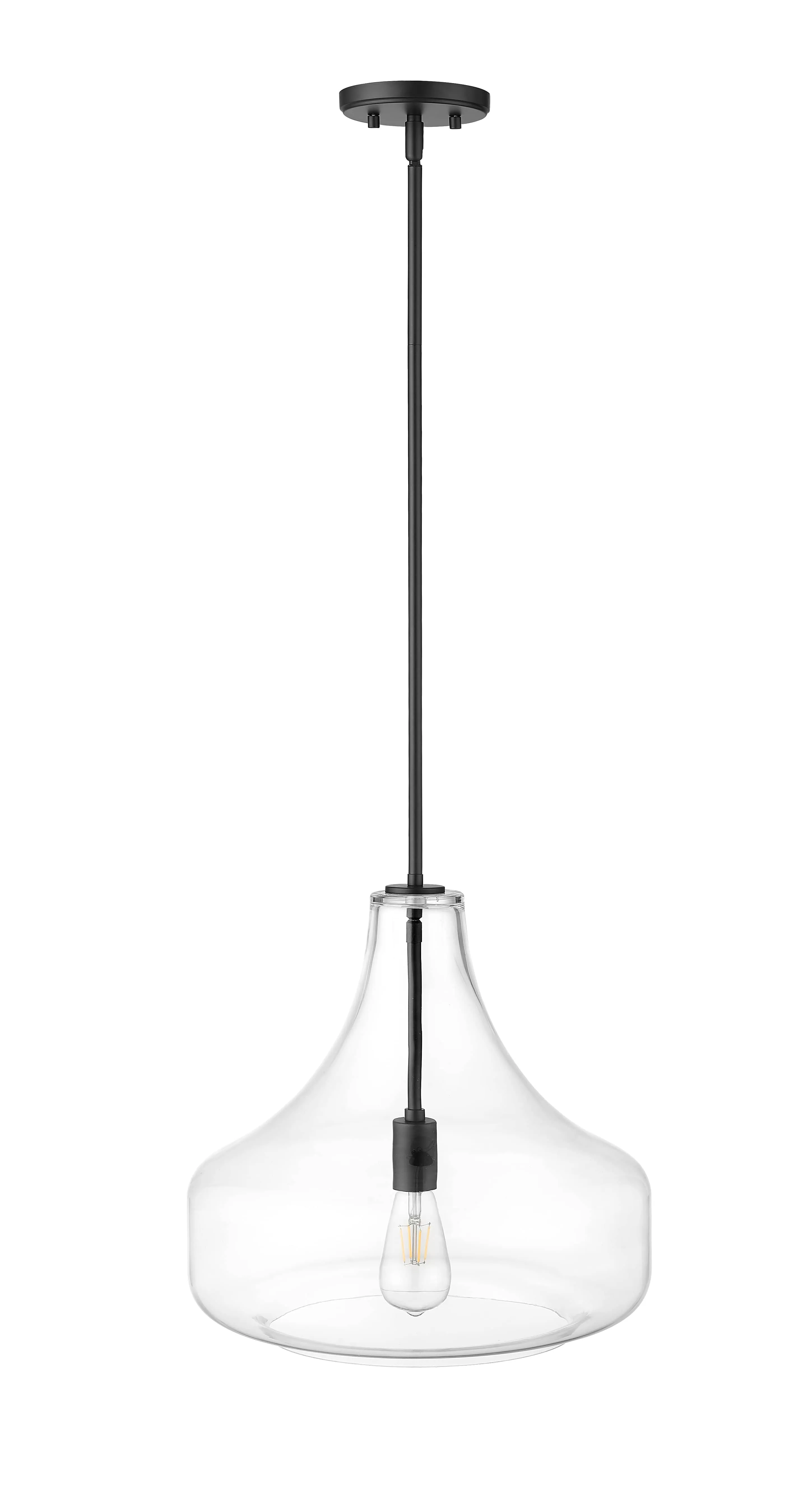 Madelynn Pendant - Matte Black - Clear Glass - 16in. Diameter - E26 Medium Base
