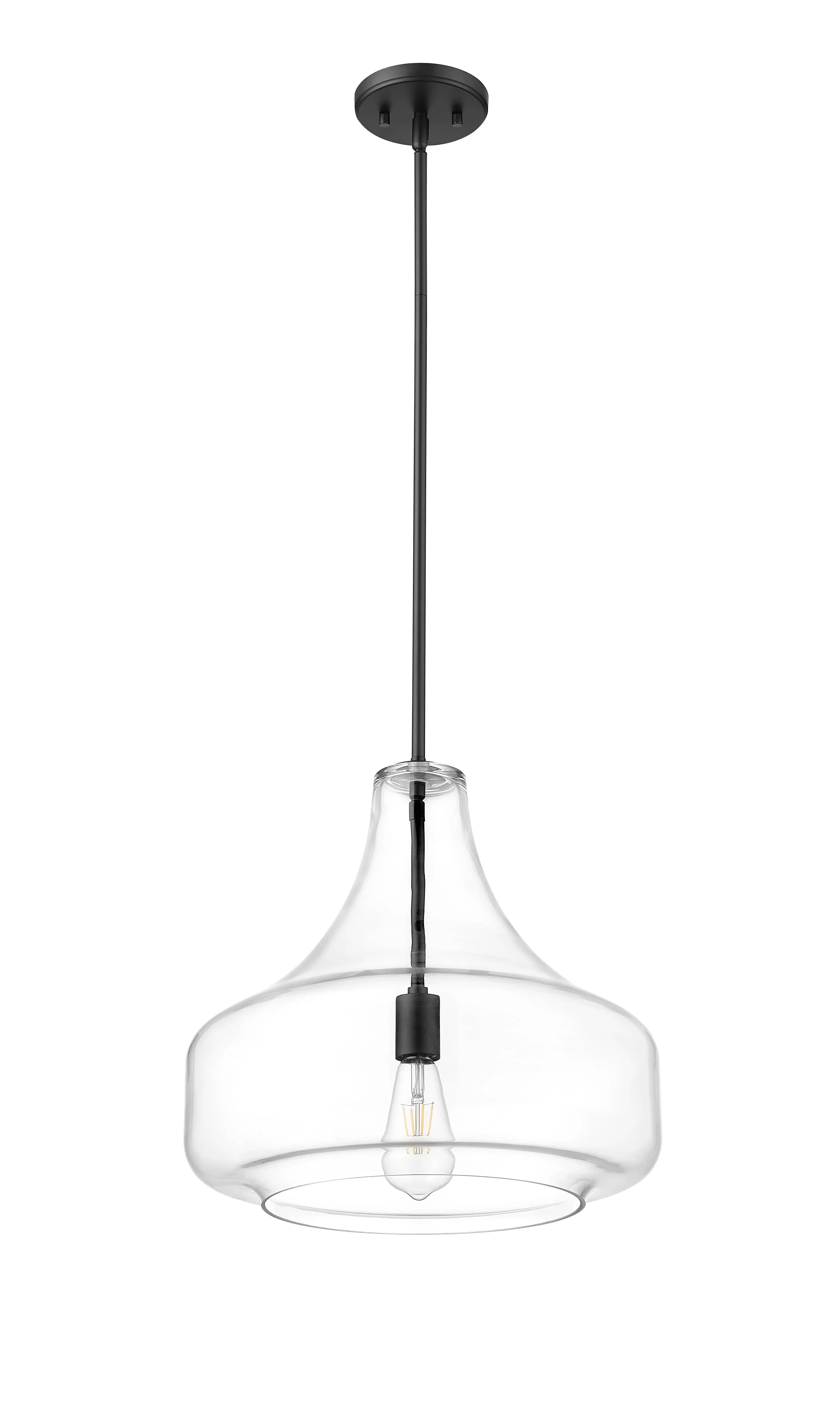Madelynn Pendant - Matte Black - Clear Glass - 16in. Diameter - E26 Medium Base
