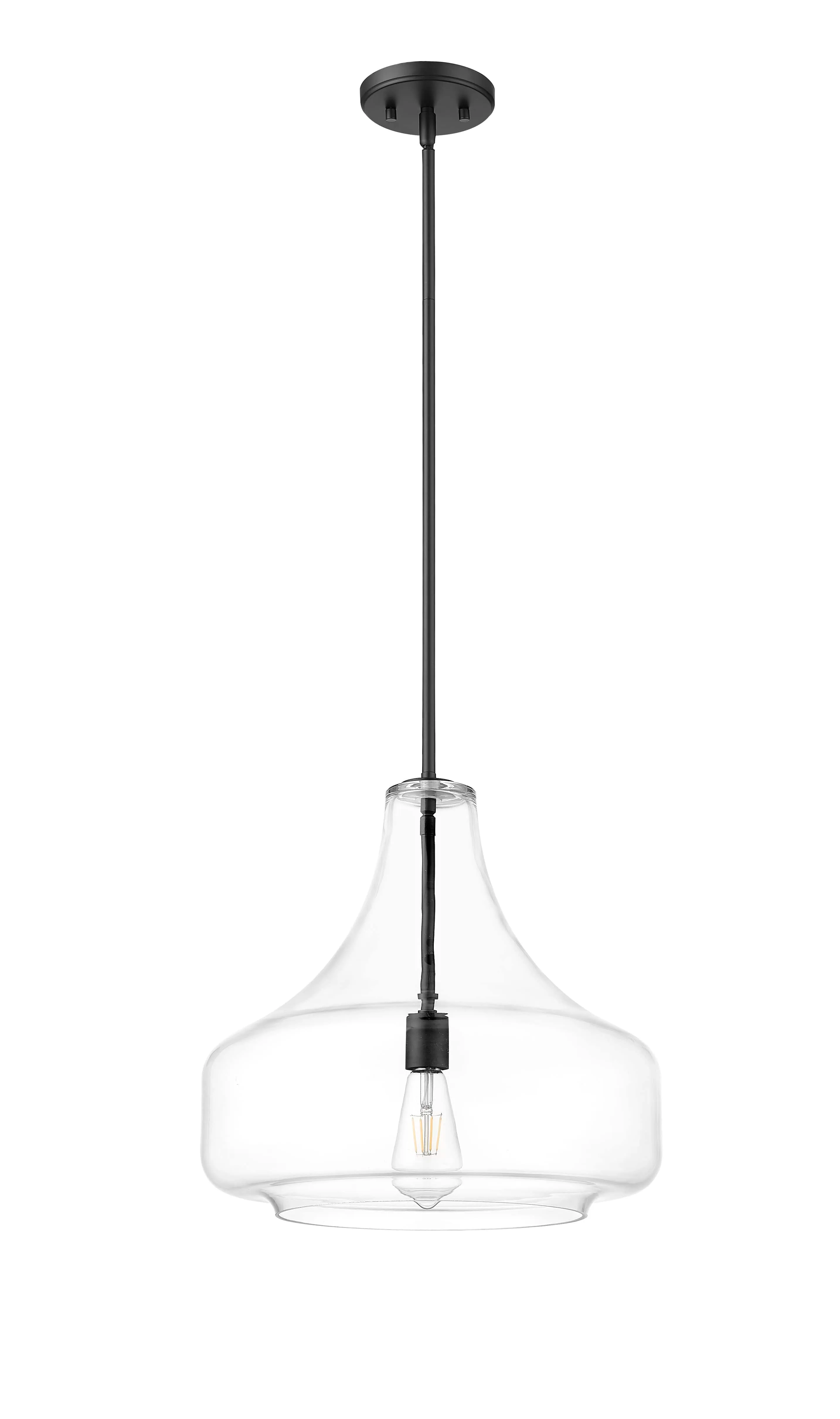 Madelynn Pendant - Matte Black - Clear Glass - 16in. Diameter - E26 Medium Base