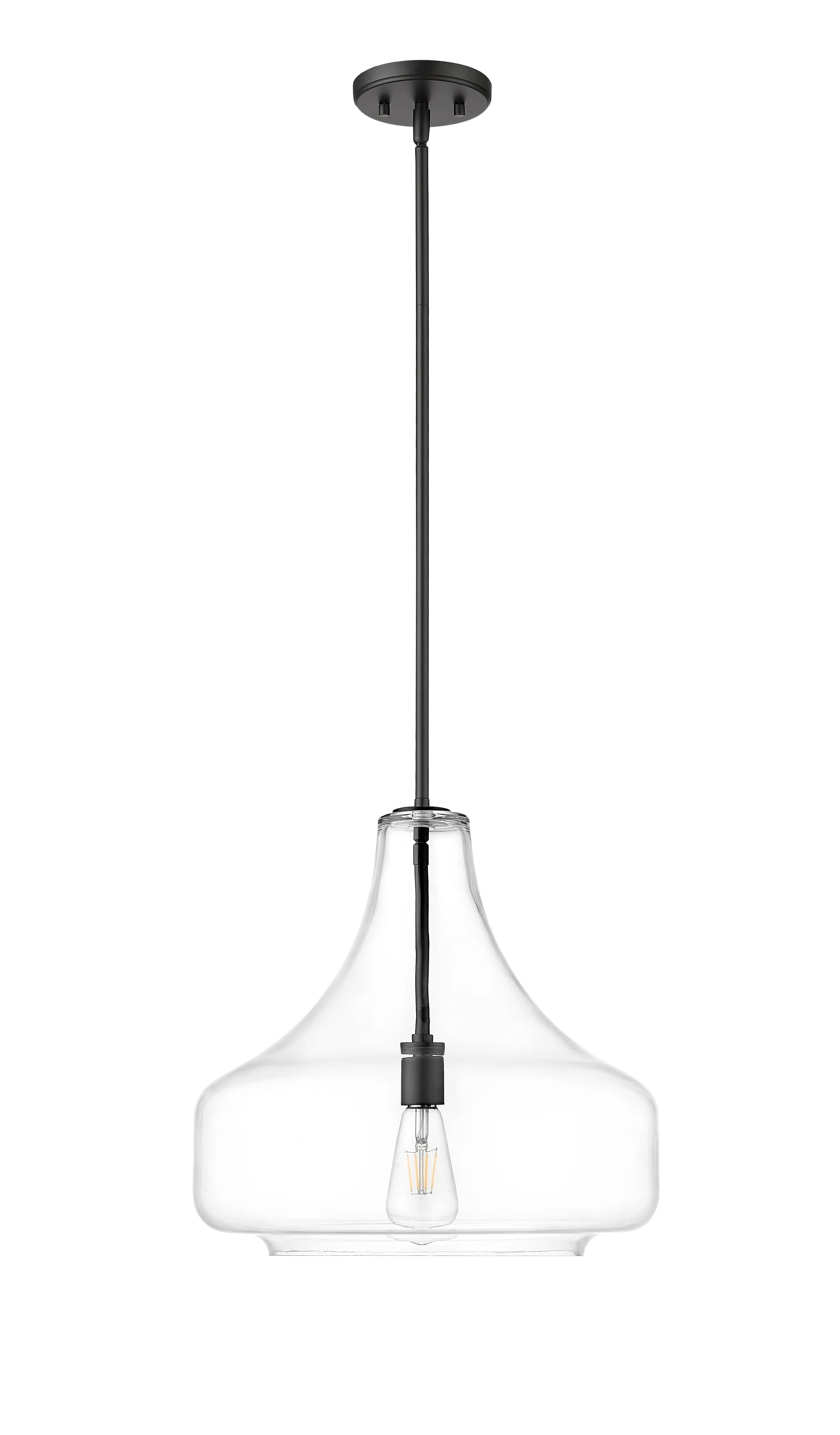 Madelynn Pendant - Matte Black - Clear Glass - 16in. Diameter - E26 Medium Base