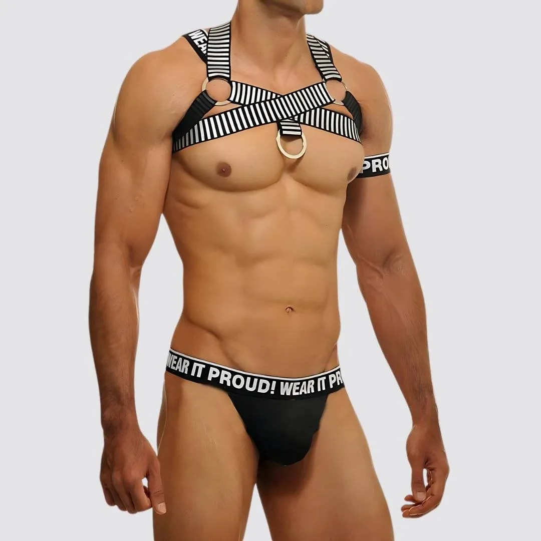 Wear It Proud! Cross Chest Harness & V Cut Matching Briefs