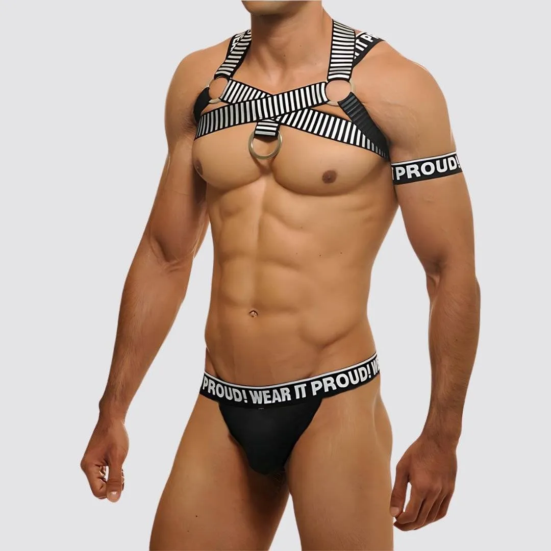 Wear It Proud! Cross Chest Harness & V Cut Matching Briefs